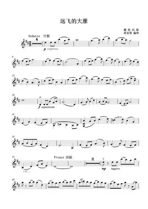 唯美音画《远飞的大雁》陈蓉晖演奏附小提琴谱