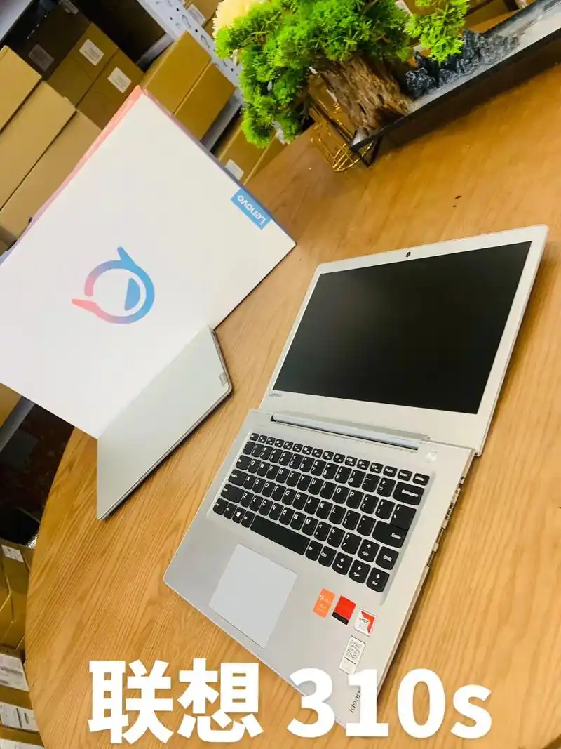 联想310s