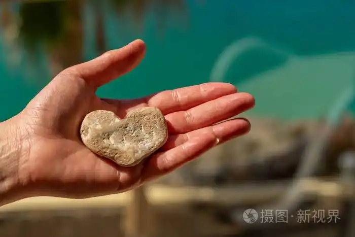 一只雌手拿着一颗心形的石头放在棕榈树模糊的背景前