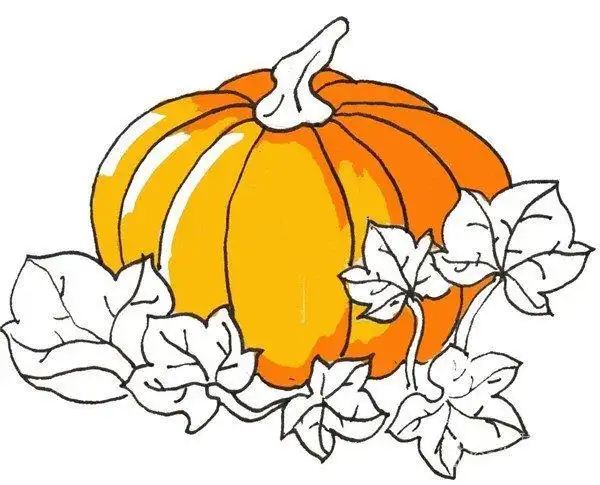 我帮奶奶收南瓜简笔画