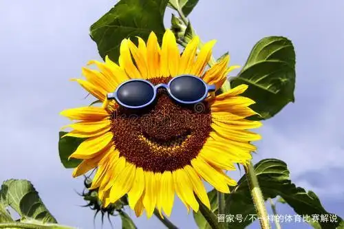 在我们的生活当中,有的人喜欢微笑,非常的开心,积极,乐观.