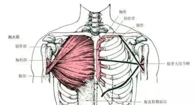 左肋骨下方隐隐疼痛是什么原因