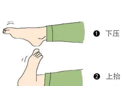 下肢骨科手术后-股四头肌等长收缩康复功能锻炼方法_膝关节损伤_膝