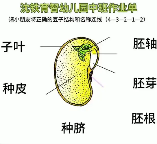 "抗击疫情,育智在行动"——育智幼儿园中二班
