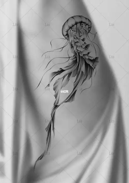 手稿待认领水母