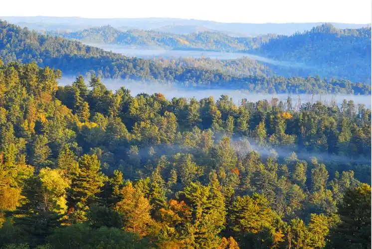 忽然,想去小兴安岭看雪~-友友