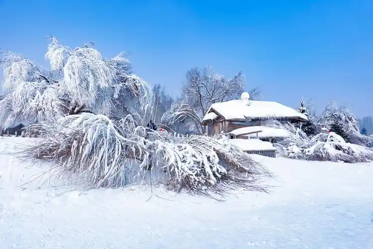 北国冰雪行摄之一伏尔加庄园赏雪景