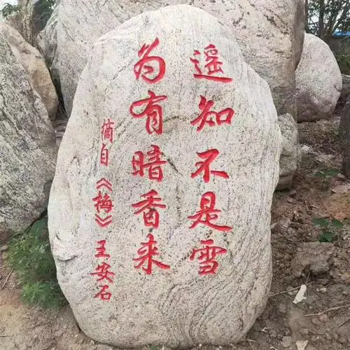 定制校园雕塑校训石感恩石刻字留念石头大型景观石赠送母校草坪石