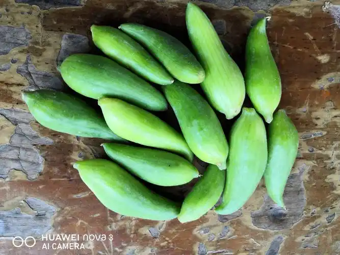 4*25腾冲美食的故事