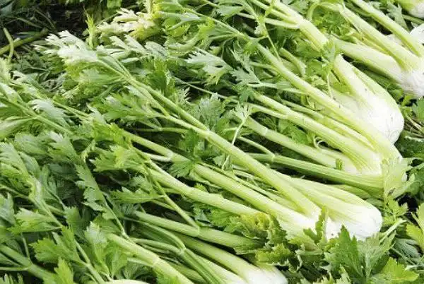 被称之为一级致癌物的四种蔬菜尤其是最后一种很多人还在吃