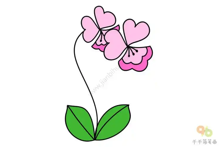 美丽的兰花简笔画图片大全