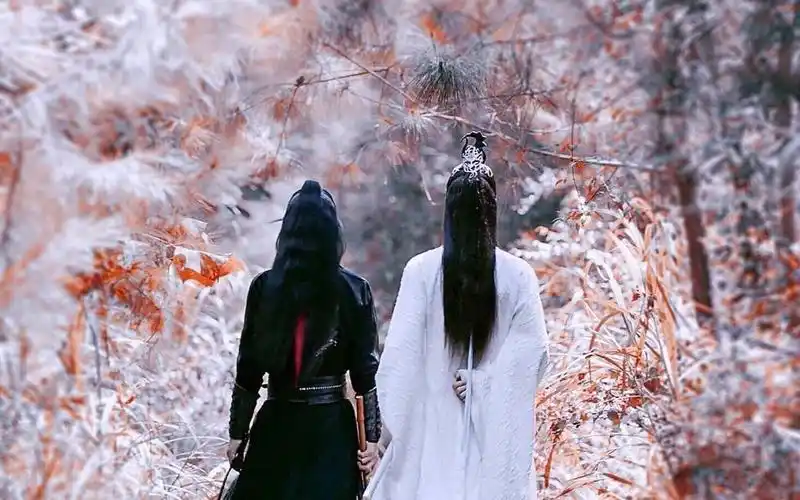 【博君一肖】论95分天选cp的契合程度