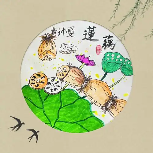 少儿美术莲藕写生