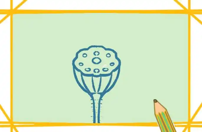 绿色的莲蓬简笔画图片大全