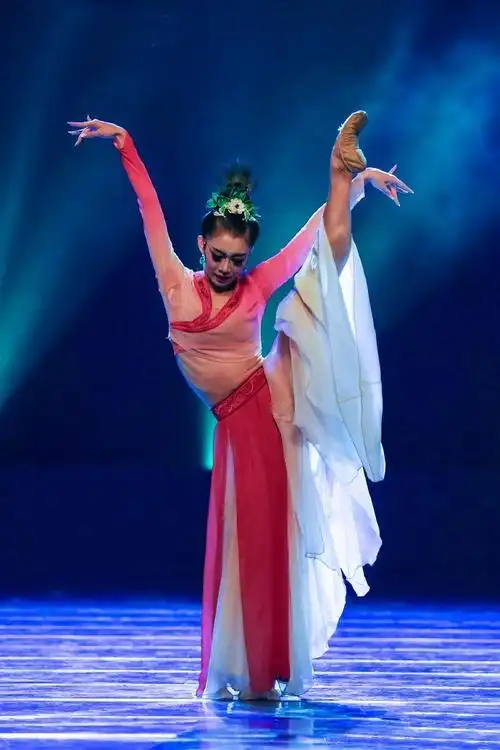 古典舞|女子独舞《孔雀东南飞》窦率方