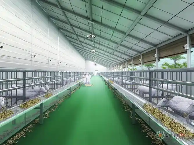 让我感觉比较吃惊的是,羊老板告诉我,这个羊圈是在全中国最先进的羊圈