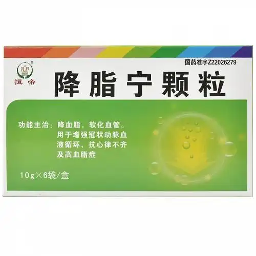 恒帝 降脂宁颗粒 10g*6袋