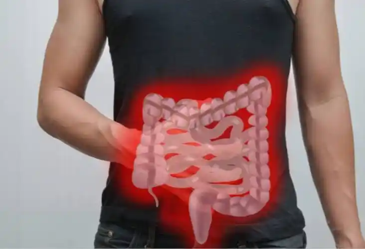 肠子发炎,肠子发炎挂什么科