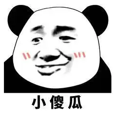 小傻瓜_熊猫头_撩妹撩汉_傻瓜表情