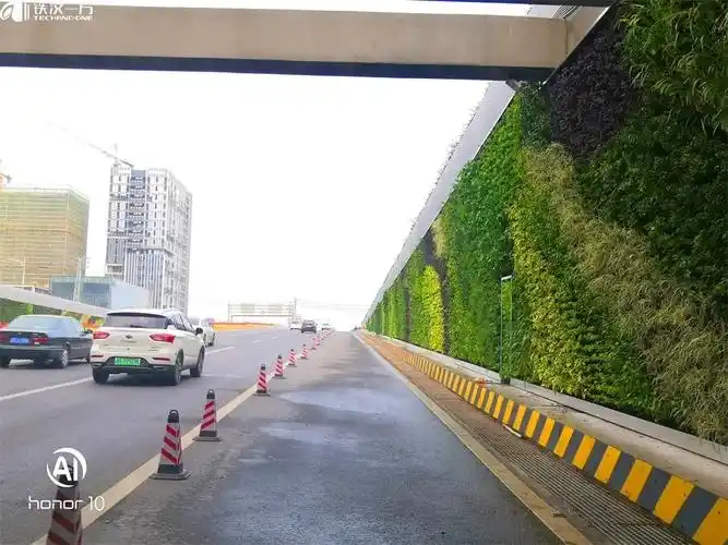 隧道口立体绿化改变了原来景观生硬,缺乏生机的现状,丰富了城市绿化的