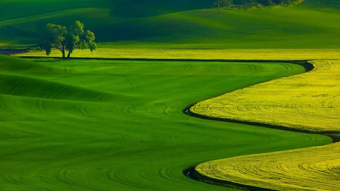 高清迷人的自然风景图片桌面壁纸,大自然美轮美奂的迷人景致,高清摄影