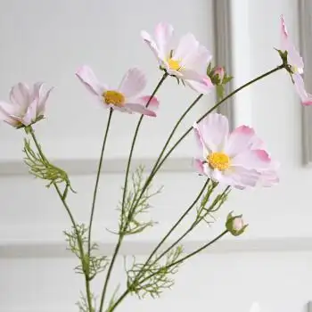 花太阳花假花客厅摆放花卉绢花仿真花束装饰花 粉红色 波斯菊单枝花