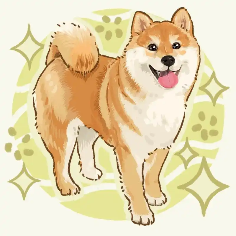 柴犬全身手绘头像 柴桑,故乡的樱花开了吗?