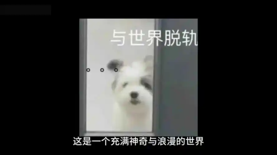 ao3最新链接,本人亲测可用