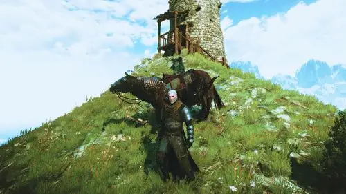 熊派帅啊 - 《巫师3:狂猎》 - 3dmgame论坛 - powered by discuz!