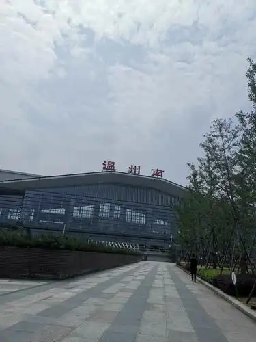 温州火车南站前向日葵花海190610