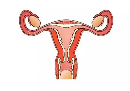 女性子宫后位,影响怀孕吗?