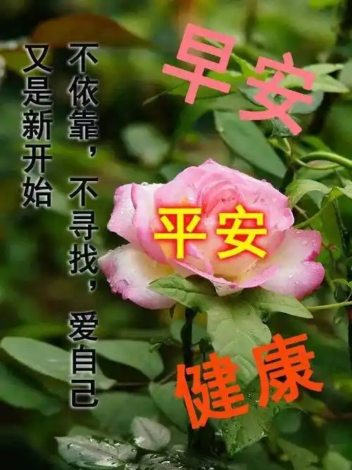 2021夏日清晨早安问候语图片文字_朋友