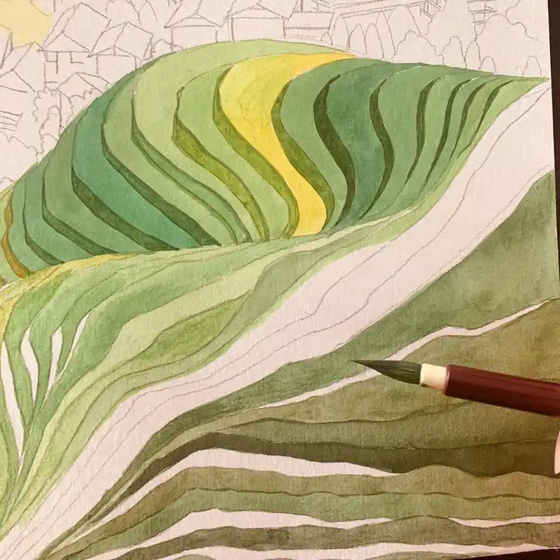 水彩手绘插画《梯田》 去年画的一幅手绘,喜欢柔软的绿