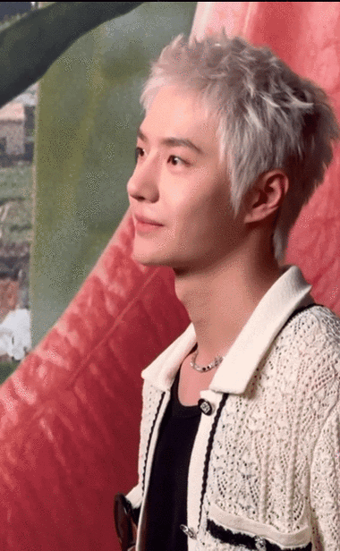 各种评选轮番上阵,很多印象深刻的明星造型,其中新染白金发色的王一博