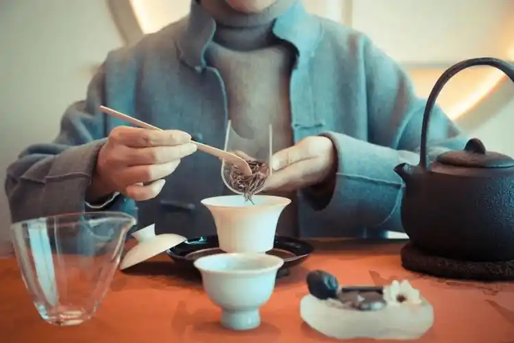 红树林_生活_营地