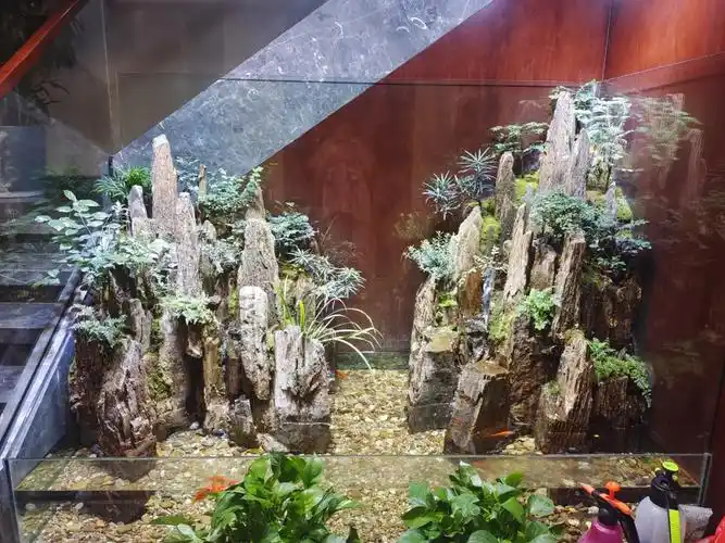 鱼缸造景