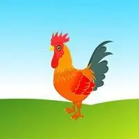 大公鸡和乌龟表情包_微信头像图片大全