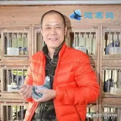 围观上海王臣不做回血配