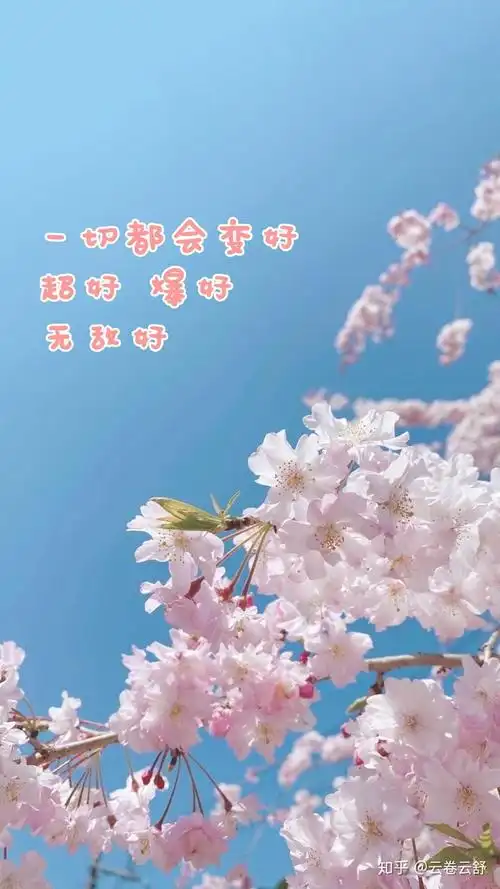 这是找的能让我心情愉快的图片配字做手机锁屏,算是心里暗示吧 all is