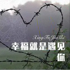 幸福就是遇见你