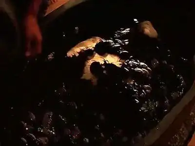 揭秘古埃及恶毒诅咒虫噬之刑