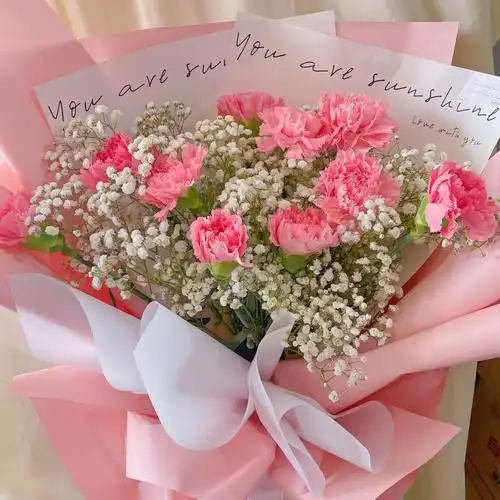 嫩粉色康乃馨花束