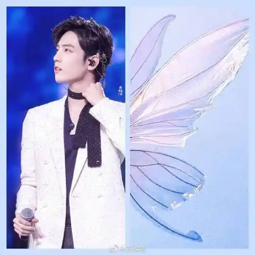 肖战藏好你的翅膀##肖战高清花絮