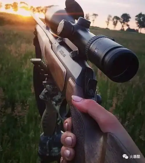 风轻云淡绍尔猎枪美图集
