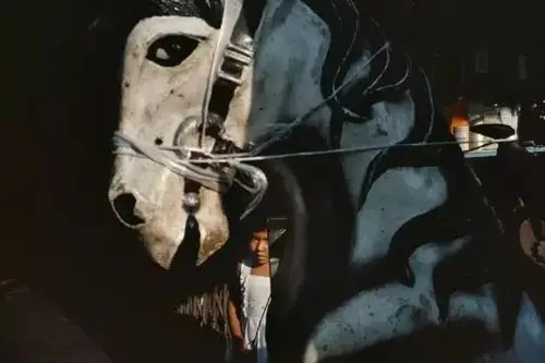 张照堂 chang chao-tang, grass mountain, taipei, 1985中国台湾摄影