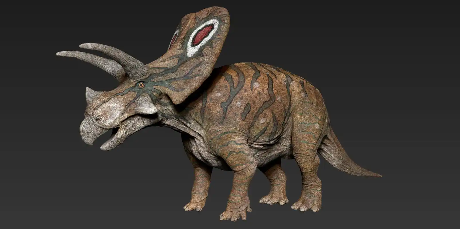 牛角龙:白垩纪的守望者