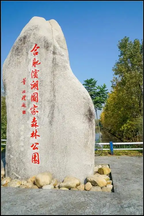 (原)皖秋之旅(二)合肥滨湖国家森林公园