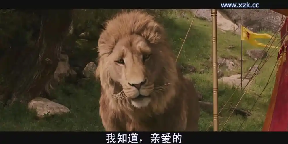 纳尼亚传奇1