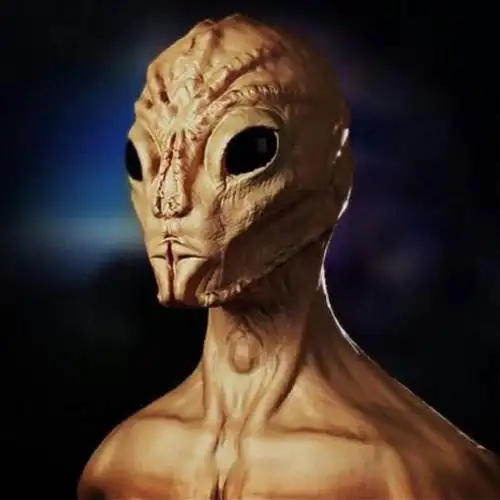 外星人图片 关于外星人的10副逼真照片(10)