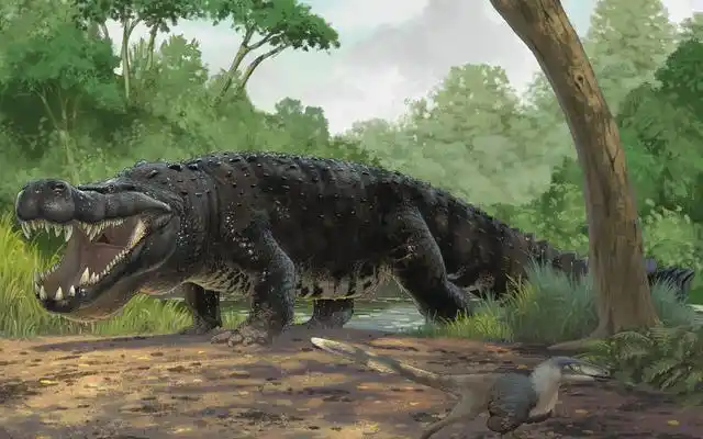 最大的鳄鱼是什么鳄鱼?它究竟有多大?